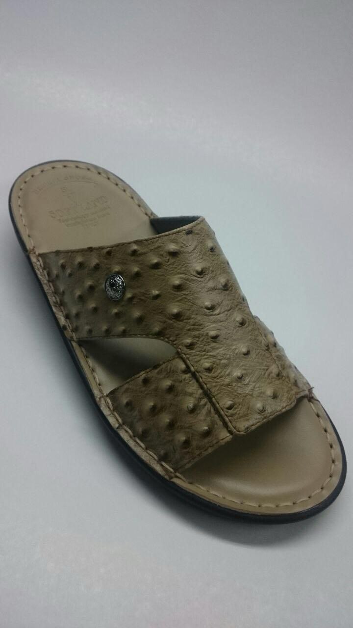 Shoes Image